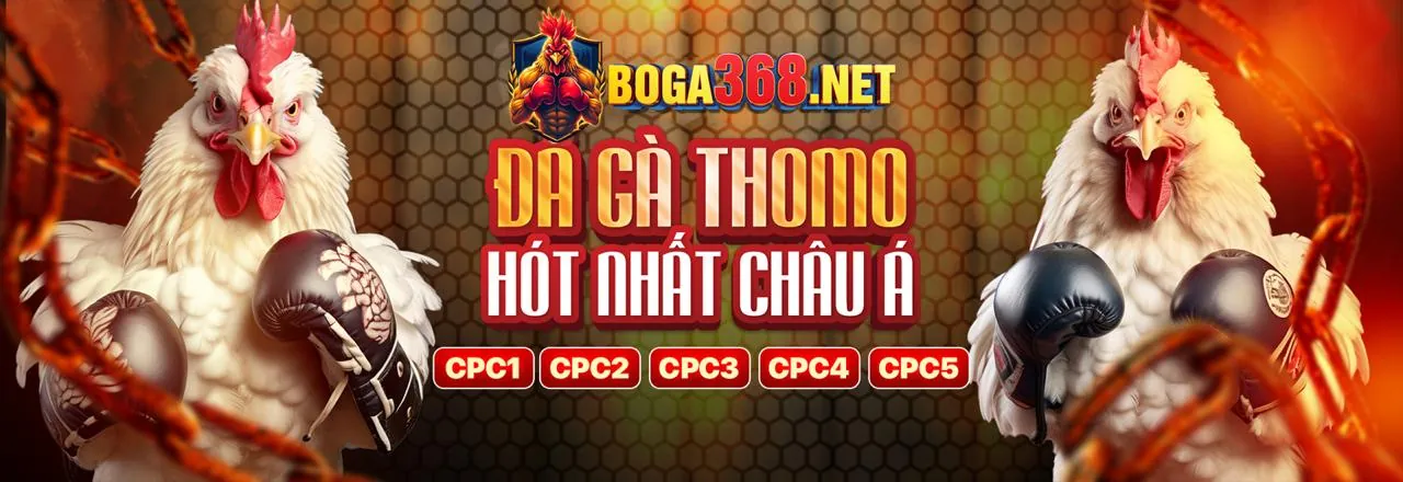 Đá gà kịch tính tại KU393 Nhà Cái